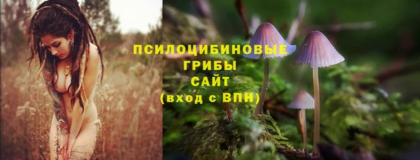 MDMA Premium VHQ Михайловск