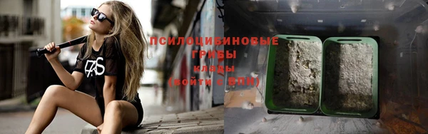 спайс Михайлов
