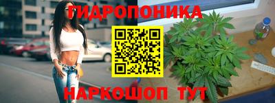 бошки Балахна