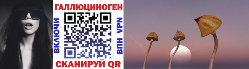 купить закладку  Борзя  Галлюциногенные грибы мицелий 