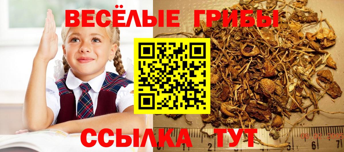 Псилоцибиновые грибы мухоморы Борзя