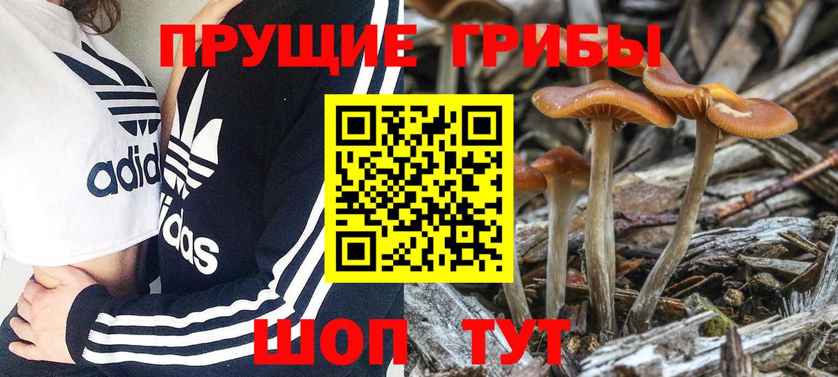 Псилоцибиновые грибы прущие грибы  Вход с VPN  купить наркоту  Борзя 