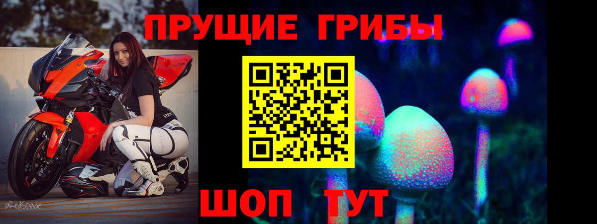 ГАШ Борзя